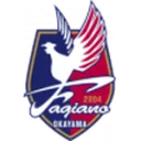 Fagiano Okayama