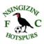 Nsingizini Hotspurs