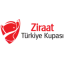 Türkiye Kupası